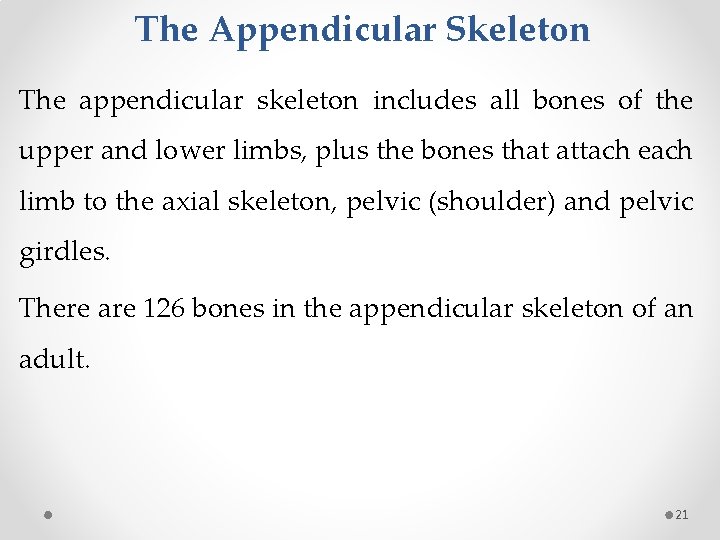 The Appendicular Skeleton The appendicular skeleton includes all bones of the upper and lower