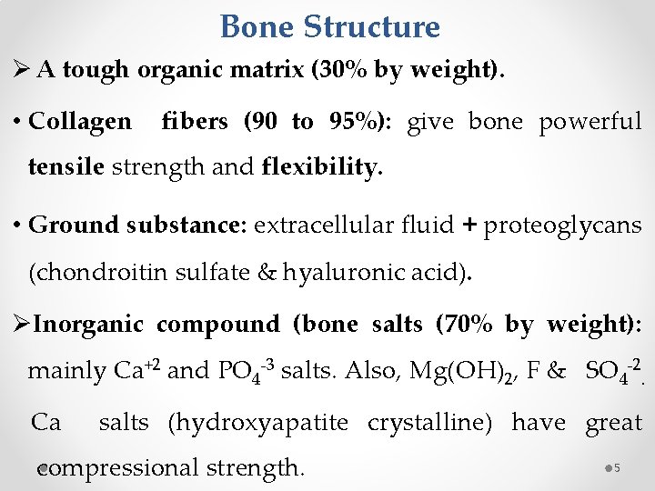 Bone Structure Ø A tough organic matrix (30% by weight). • Collagen fibers (90