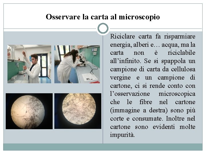 Osservare la carta al microscopio Riciclare carta fa risparmiare energia, alberi e… acqua, ma