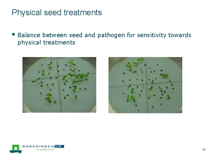 Physical seed treatments Balance between seed and pathogen for sensitivity towards physical treatments 26