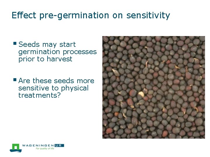 Effect pre-germination on sensitivity Seeds may start germination processes prior to harvest Are these