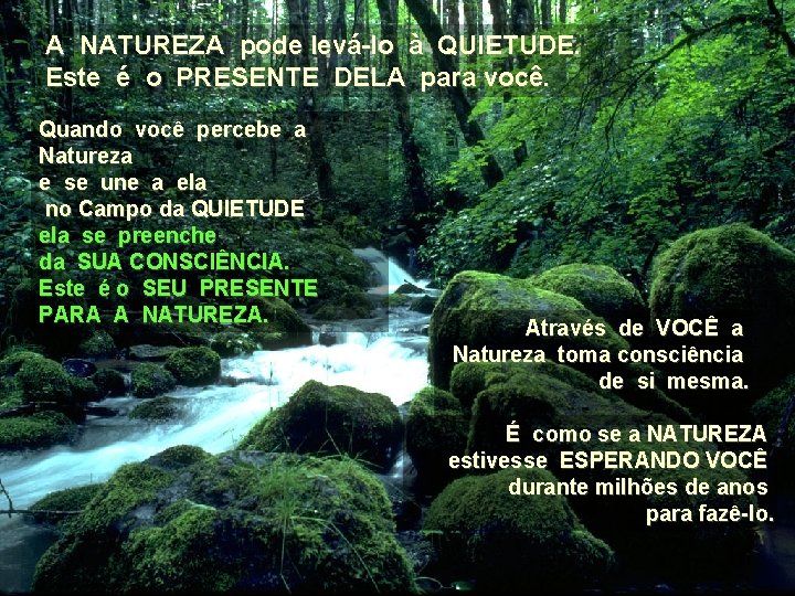 A NATUREZA pode levá-lo à QUIETUDE. Este é o PRESENTE DELA para você. Quando