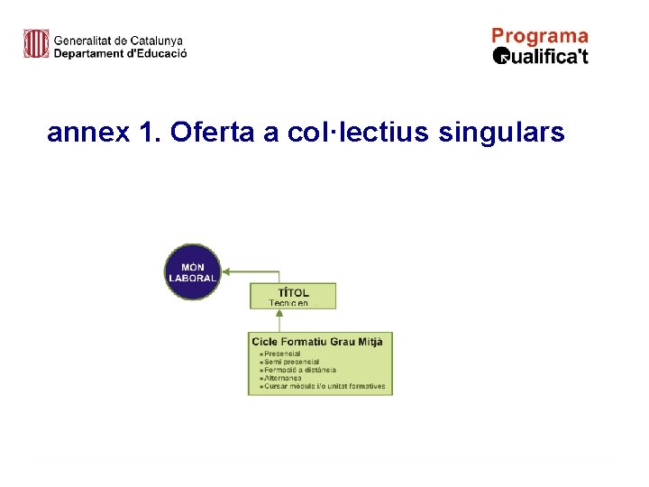 annex 1. Oferta a col·lectius singulars 