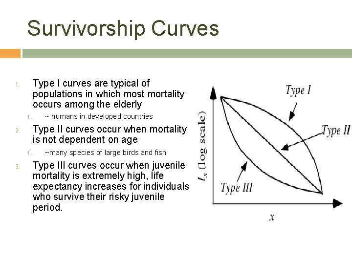 Survivorship Curves Type I curves are typical of populations in which most mortality occurs