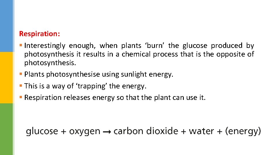 Respiration: § Interestingly enough, when plants ‘burn’ the glucose produced by photosynthesis it results