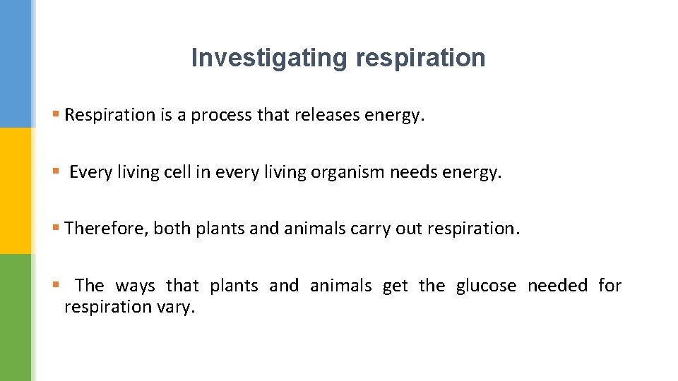 Investigating respiration § Respiration is a process that releases energy. § Every living cell