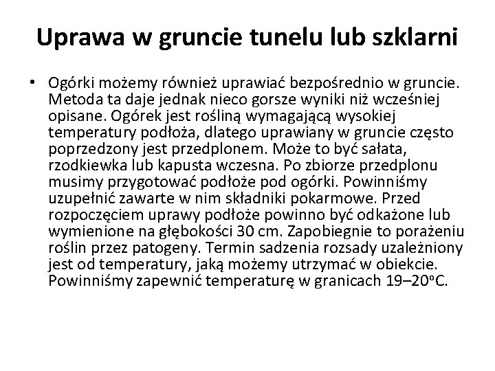 Uprawa w gruncie tunelu lub szklarni • Ogórki możemy również uprawiać bezpośrednio w gruncie.