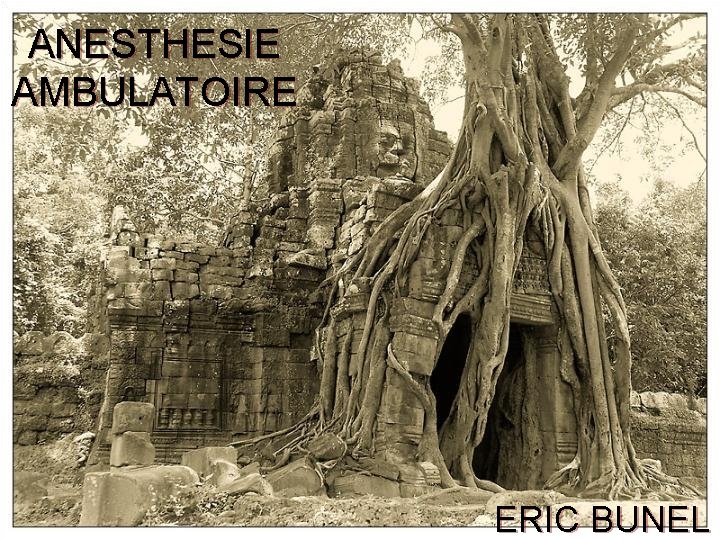 ANESTHESIE AMBULATOIRE ERIC BUNEL 