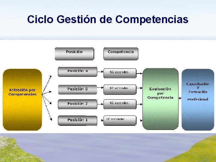 Ciclo Gestión de Competencias 