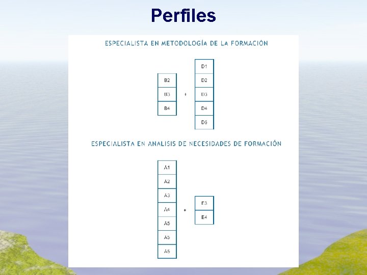 Perfiles 