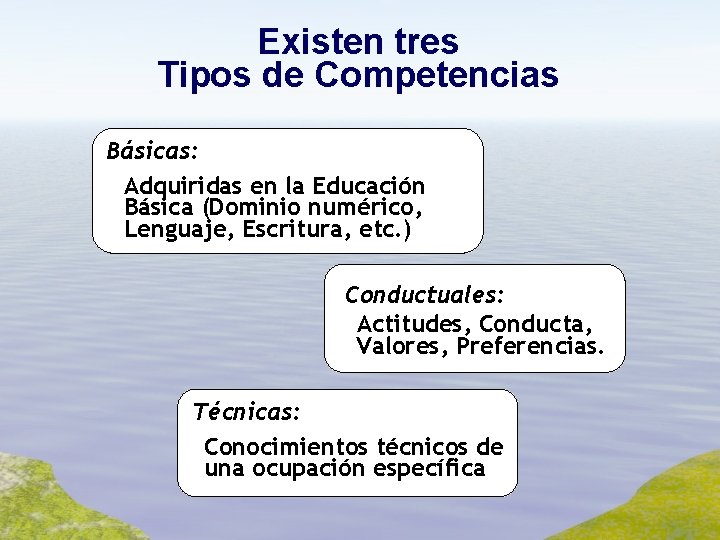 Existen tres Tipos de Competencias Básicas: Adquiridas en la Educación Básica (Dominio numérico, Lenguaje,