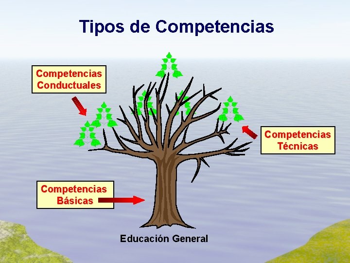 Tipos de Competencias Conductuales Competencias Técnicas Competencias Básicas Educación General 