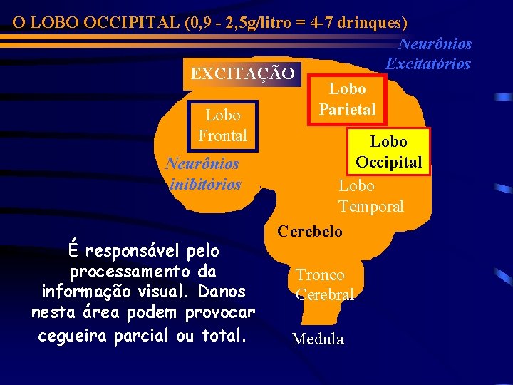 O LOBO OCCIPITAL (0, 9 - 2, 5 g/litro = 4 -7 drinques) Neurônios