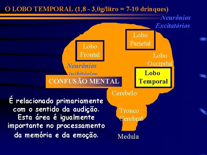 O LOBO TEMPORAL (1, 8 - 3, 0 g/litro = 7 -10 drinques) Neurônios