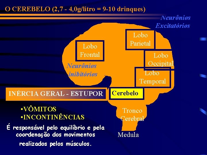O CEREBELO (2, 7 - 4, 0 g/litro = 9 -10 drinques) Neurônios Excitatórios