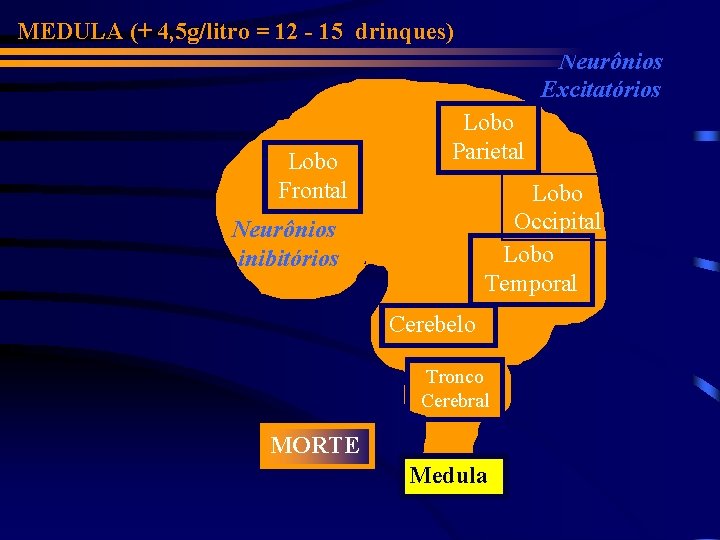 MEDULA (+ 4, 5 g/litro = 12 - 15 drinques) Neurônios Excitatórios Lobo Frontal