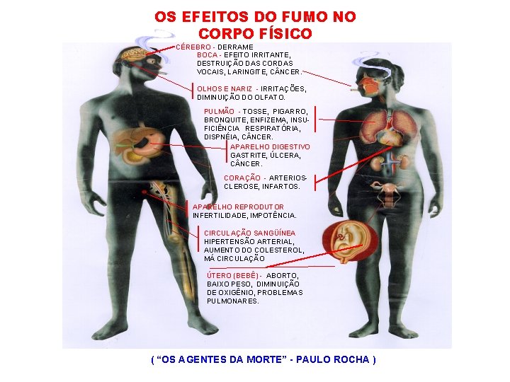 OS EFEITOS DO FUMO NO CORPO FÍSICO CÉREBRO - DERRAME BOCA - EFEITO IRRITANTE,