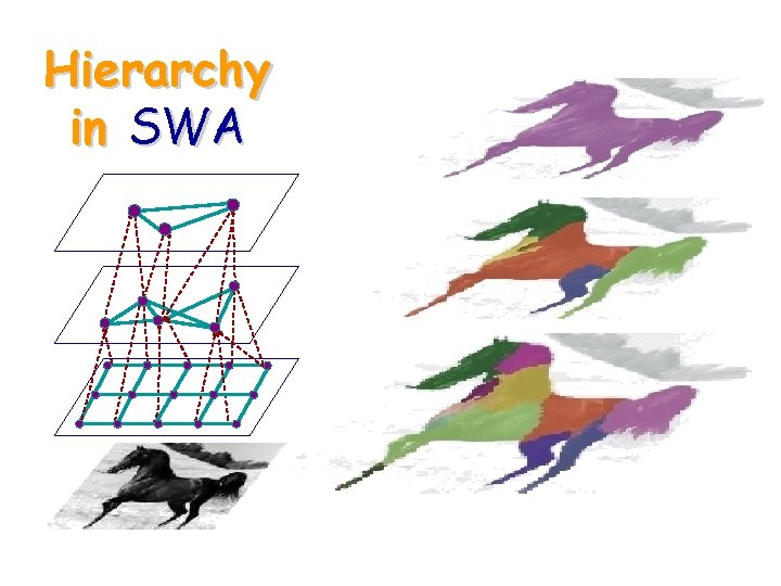 Hierarchy in SWA 
