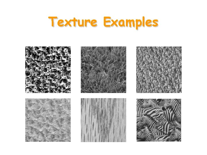 Texture Examples 