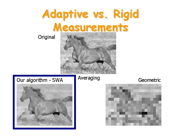 Adaptive vs. Rigid Measurements Original Our algorithm - SWA Averaging Geometric 