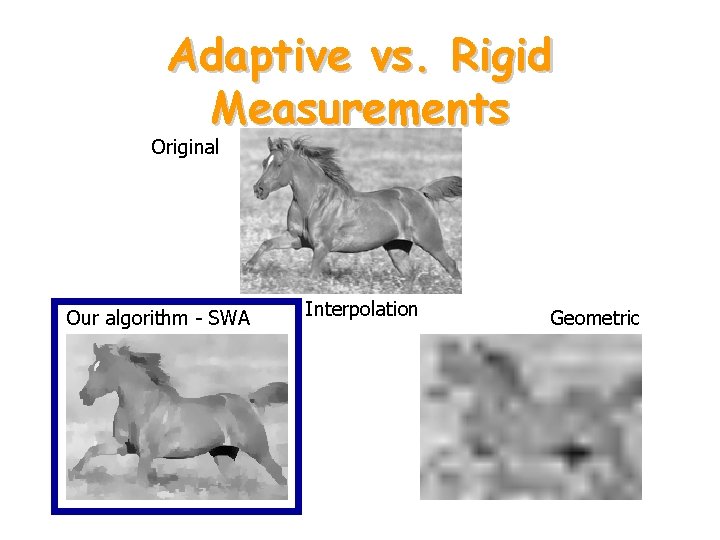 Adaptive vs. Rigid Measurements Original Our algorithm - SWA Interpolation Geometric 