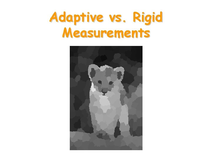 Adaptive vs. Rigid Measurements 