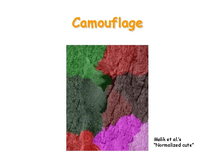 Camouflage Malik et al. ’s “Normalized cuts” 