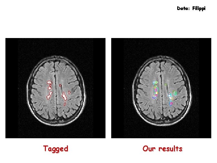 Data: Filippi Tagged Our results 