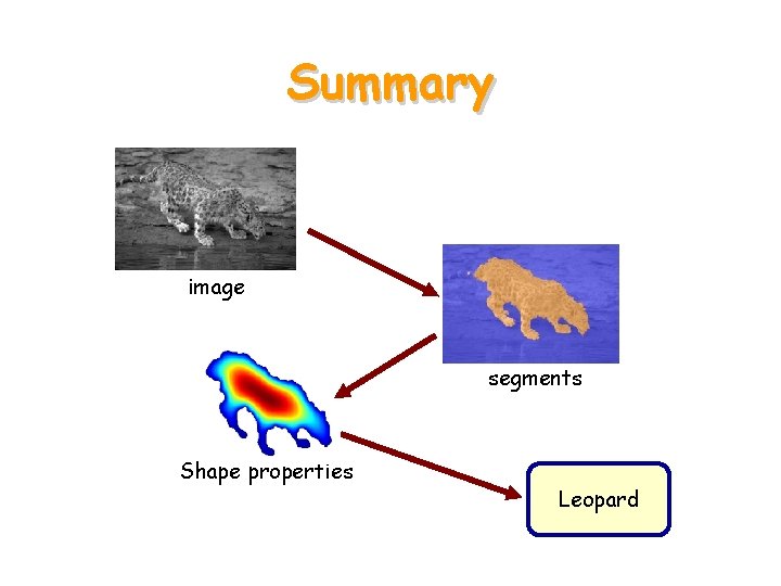 Summary image segments Shape properties Leopard 