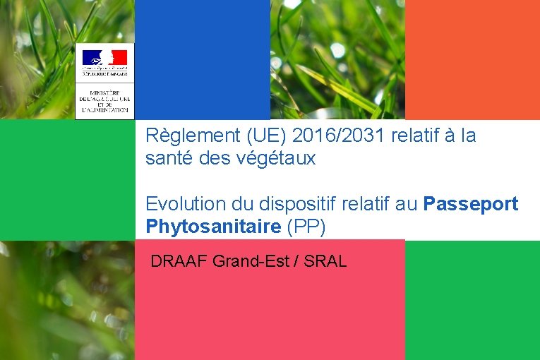 Règlement (UE) 2016/2031 relatif à la santé des végétaux Evolution du dispositif relatif au