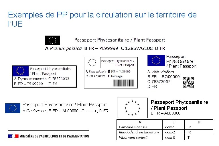 Exemples de PP pour la circulation sur le territoire de l’UE Passeport Phytosanitaire /