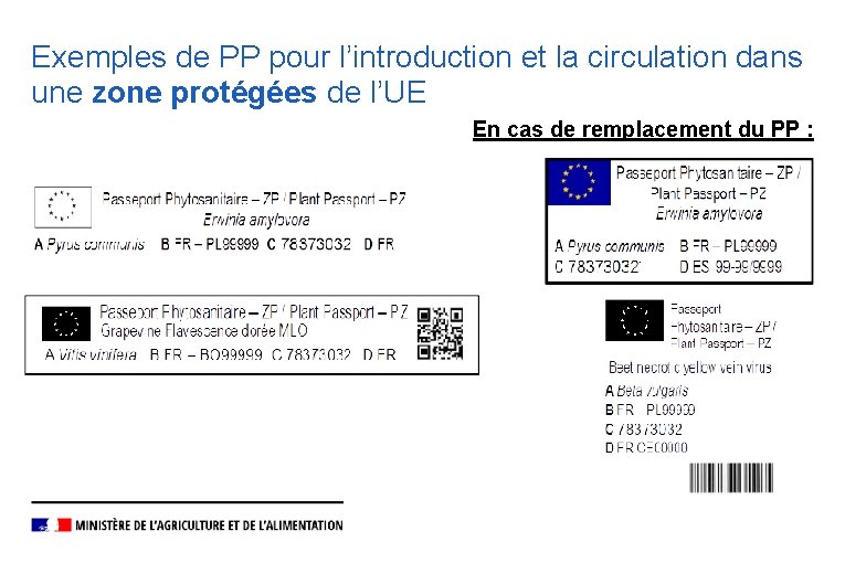 Exemples de PP pour l’introduction et la circulation dans une zone protégées de l’UE