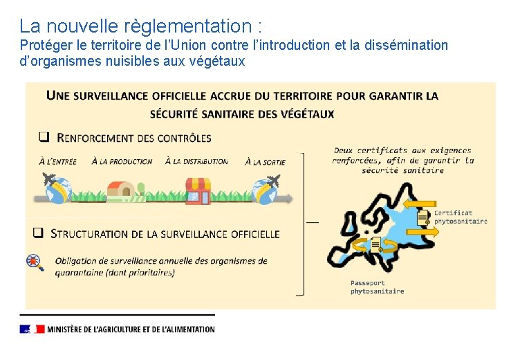 La nouvelle règlementation : Protéger le territoire de l’Union contre l’introduction et la dissémination