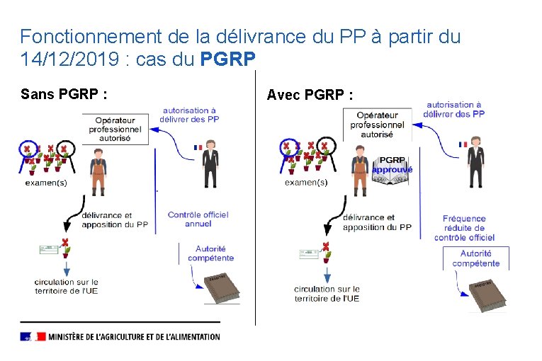 Fonctionnement de la délivrance du PP à partir du 14/12/2019 : cas du PGRP