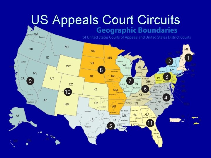 US Appeals Court Circuits 