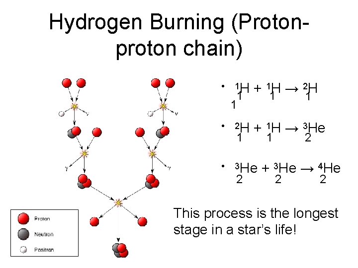 Hydrogen Burning (Protonproton chain) 1 H + 1 H → 2 H • 2