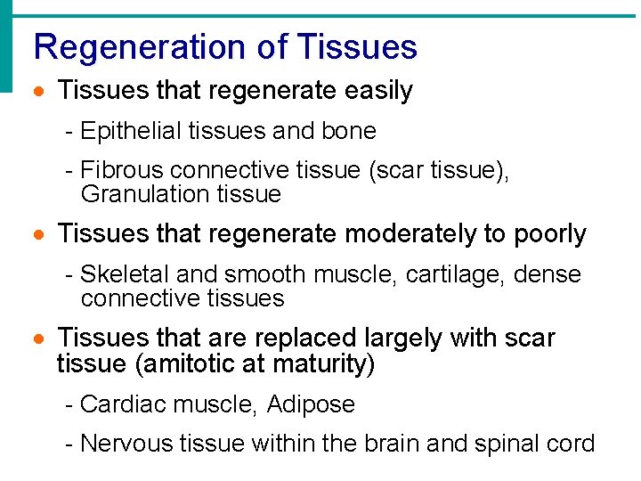 Regeneration of Tissues · Tissues that regenerate easily - Epithelial tissues and bone -