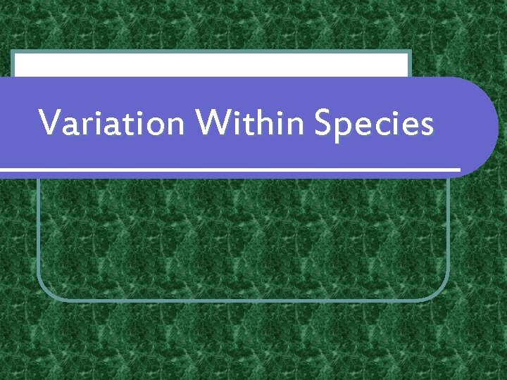 Variation Within Species Variation Within Species