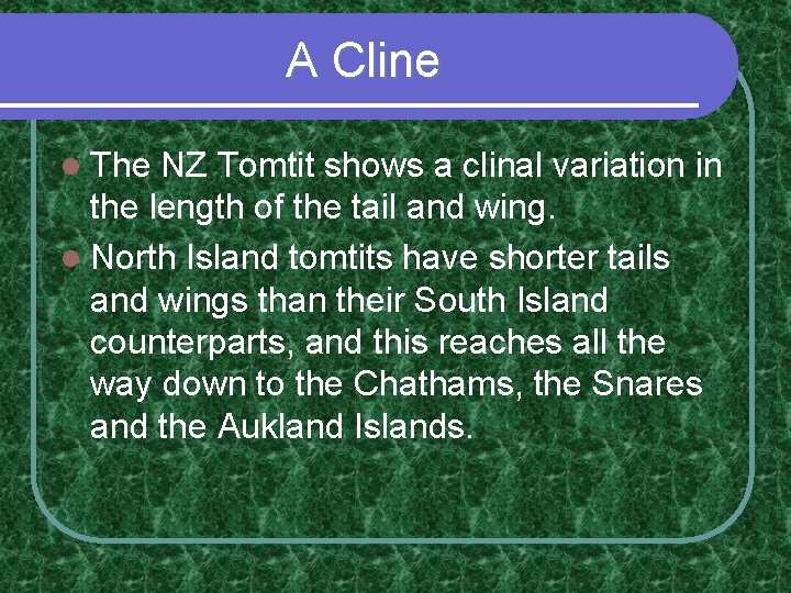 A Cline l The NZ Tomtit shows a clinal variation in the length of A Cline l The NZ Tomtit shows a clinal variation in the length of