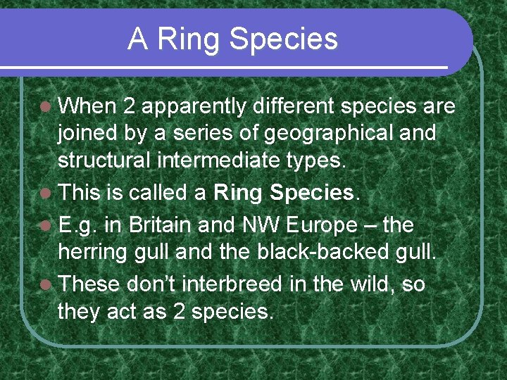 A Ring Species l When 2 apparently different species are joined by a series A Ring Species l When 2 apparently different species are joined by a series