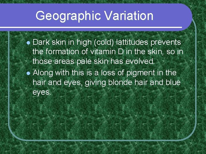Geographic Variation Dark skin in high (cold) lattitudes prevents the formation of vitamin D Geographic Variation Dark skin in high (cold) lattitudes prevents the formation of vitamin D