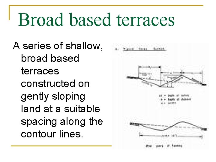 Broad based terraces A series of shallow, broad based terraces constructed on gently sloping