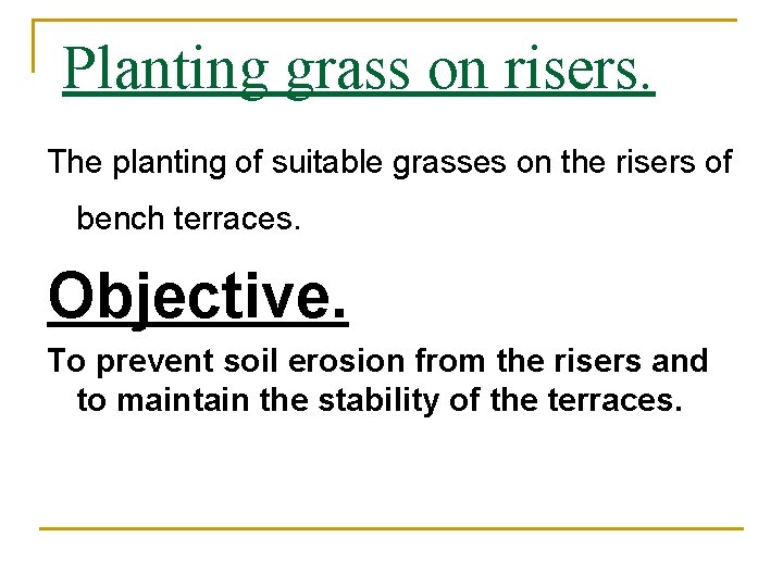 Planting grass on risers. The planting of suitable grasses on the risers of bench