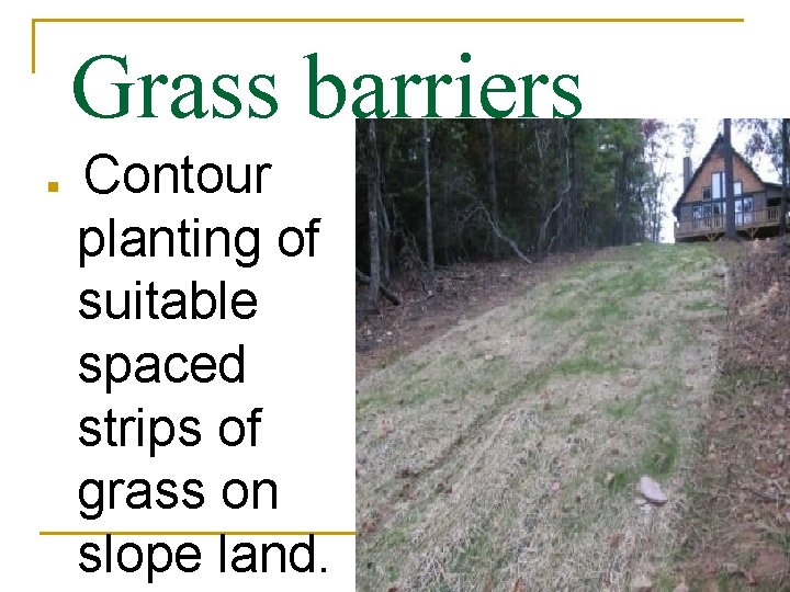 Grass barriers n Contour planting of suitable spaced strips of grass on slope land.