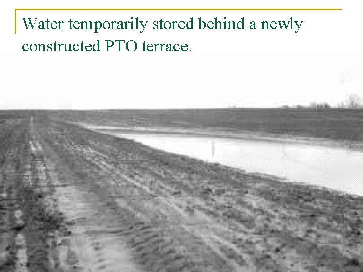 Water temporarily stored behind a newly constructed PTO terrace. 