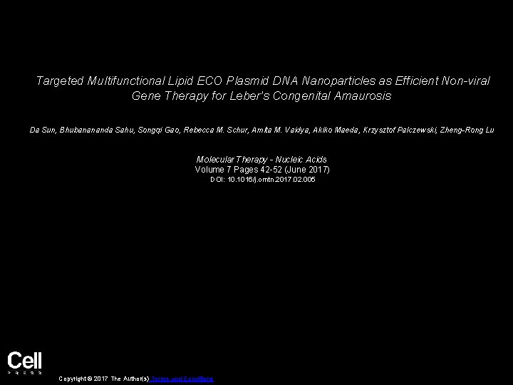 Targeted Multifunctional Lipid ECO Plasmid DNA Nanoparticles as Efficient Non-viral Gene Therapy for Leber’s