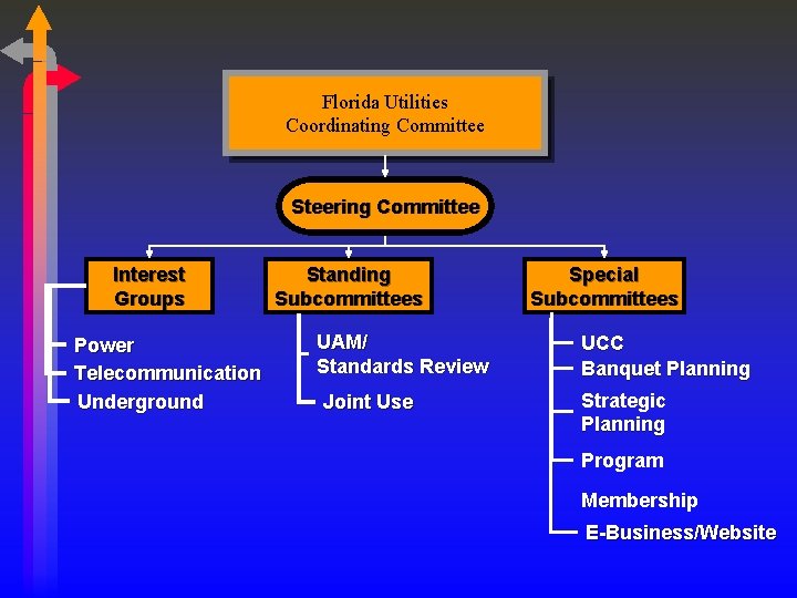 Florida Utilities Coordinating Committee Steering Committee Interest Groups Power Telecommunication Underground Standing Subcommittees UAM/