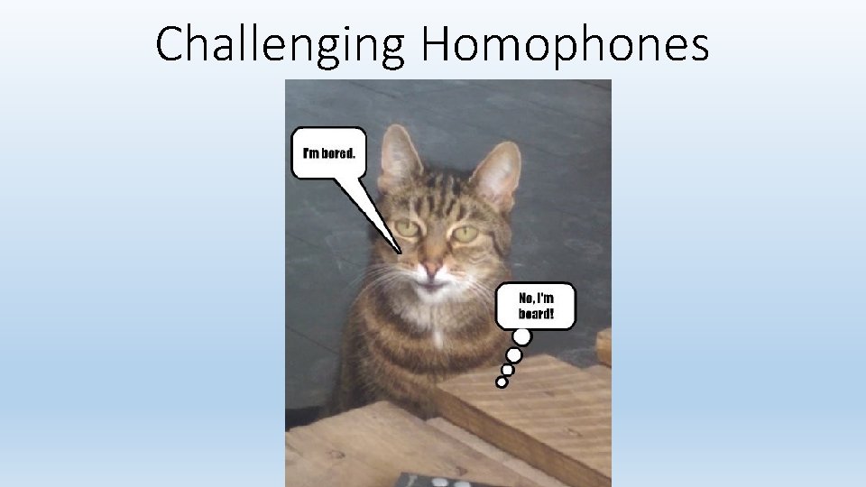 Challenging Homophones 