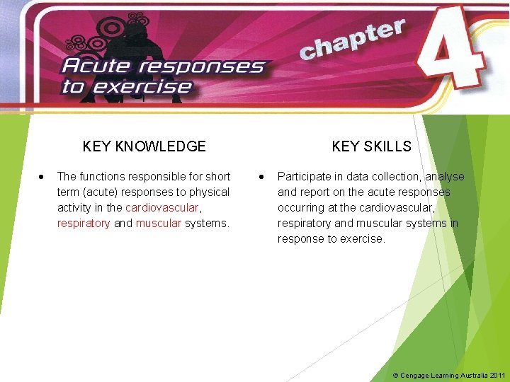 KEY KNOWLEDGE The functions responsible for short term (acute) responses to physical activity in