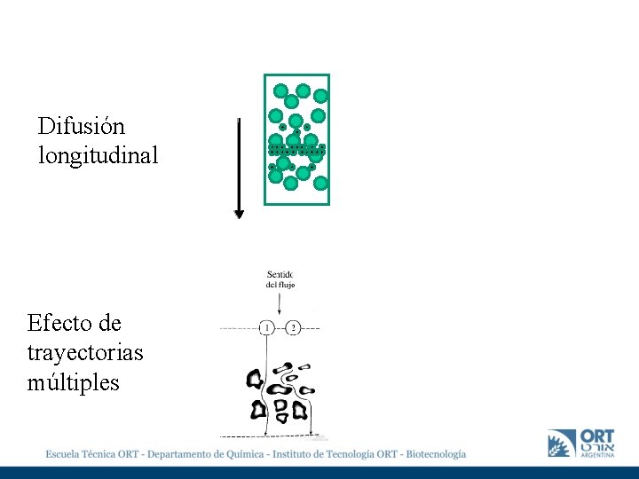 Difusión longitudinal Efecto de trayectorias múltiples Difusión longitudinal Efecto de trayectorias múltiples